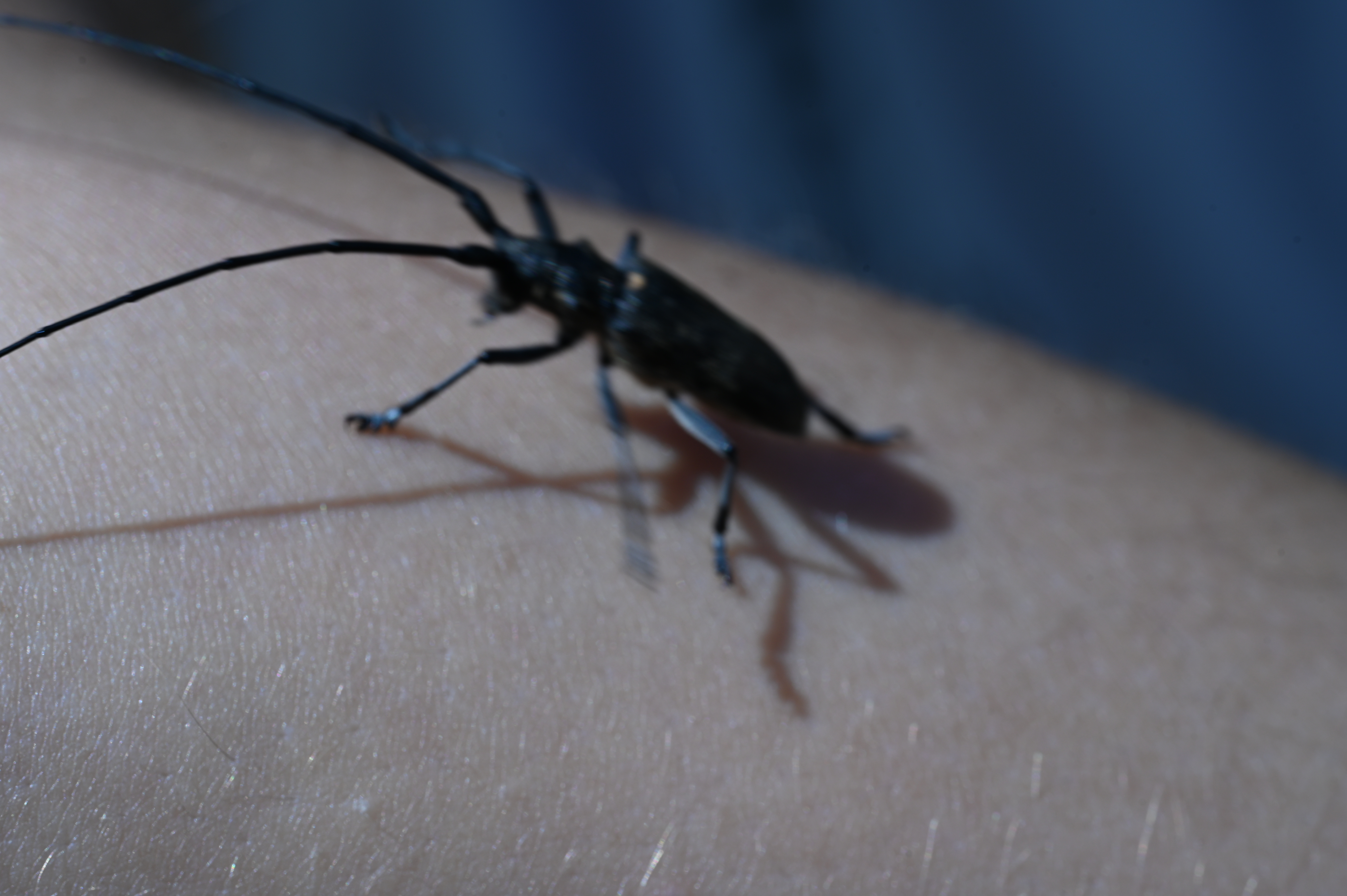 2025/07/09-14 - trip/DSC_0145.JPG